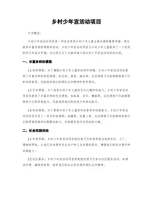 乡村少年宫活动项目