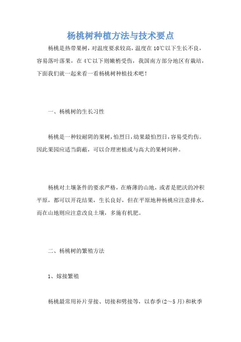 杨桃树种植方法与技术要点