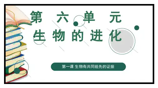 6-1 生物有共同祖先的证据(教学课件) 高一生物同步备课系列(人教版2019必修2)