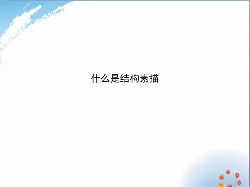 结构素描优秀课件