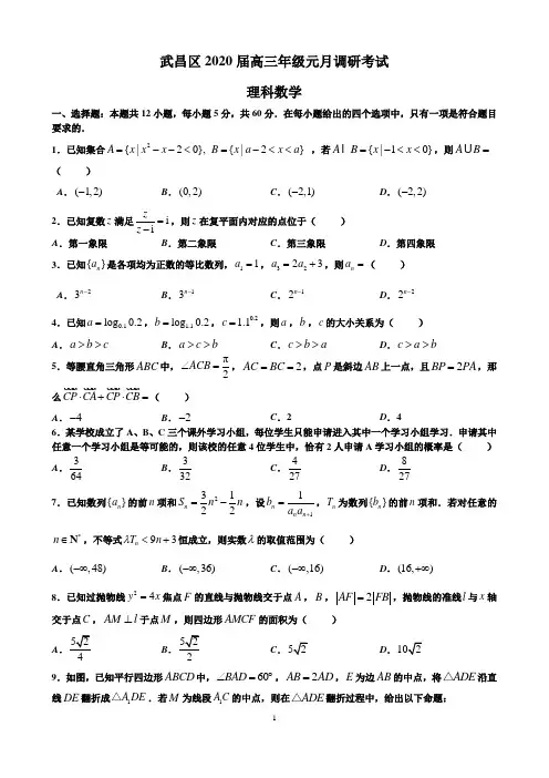 武昌区2020届高三元月调考  理科数学及答案