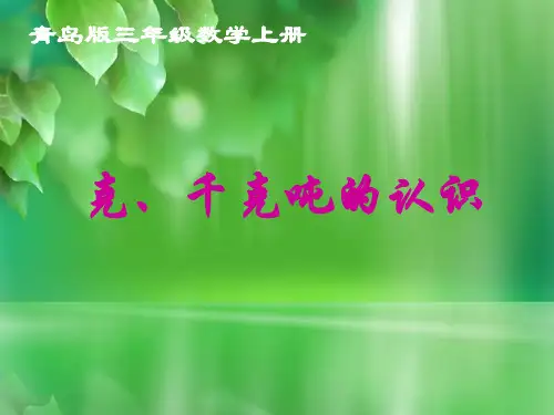 复习_克、千克吨的认识
