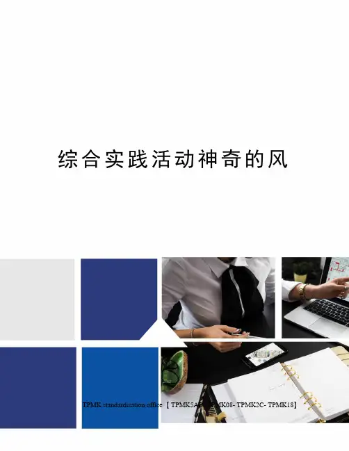 综合实践活动神奇的风(终审稿)