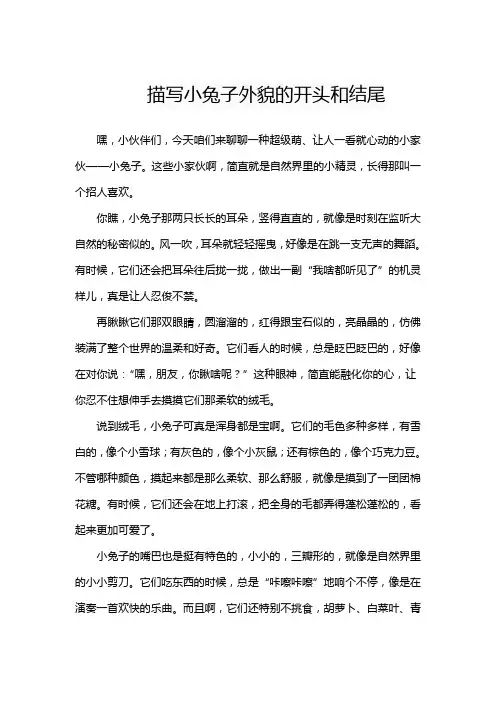 描写小兔子外貌的开头和结尾
