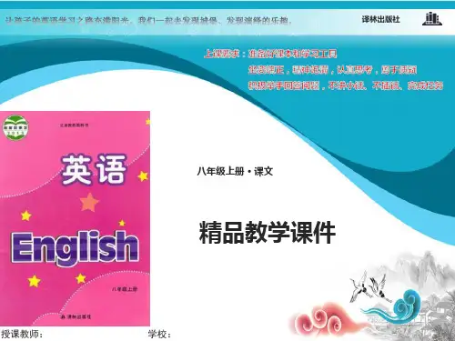 牛津译林版八年级英语上册Unit 6 Bird watching Grammar课件