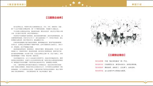 《狼企营销体系》产品介绍