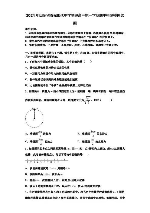 2024年山东省寿光现代中学物理高三第一学期期中检测模拟试题含解析
