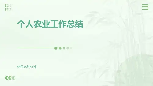 个人农业工作总结PPT