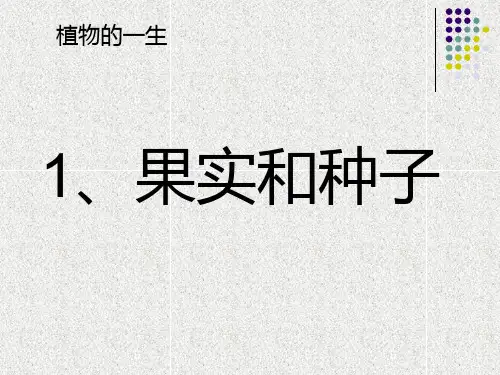 《果实和种子》课件  学科信息：科学-苏教版-三年级下