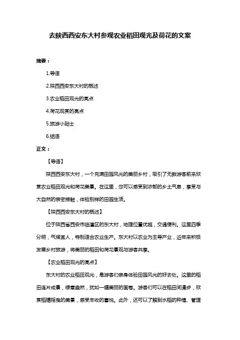 去陕西西安东大村参观农业稻田观光及荷花的文案
