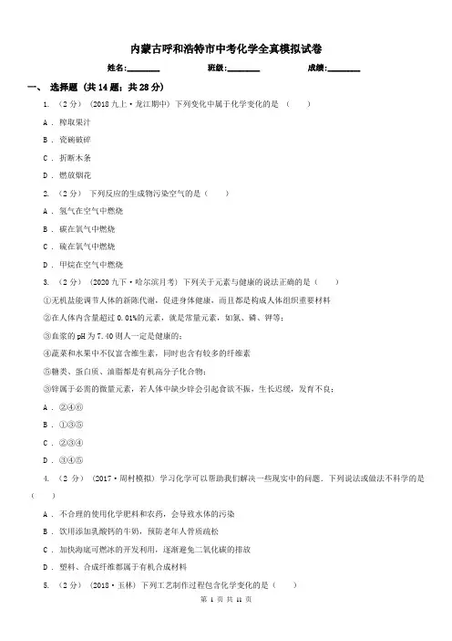 内蒙古呼和浩特市中考化学全真模拟试卷
