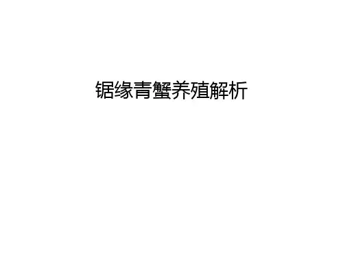 【资料】锯缘青蟹养殖解析汇编