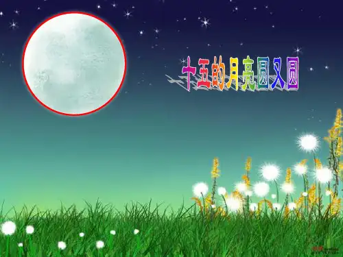 圆的周长和面积PPT课件