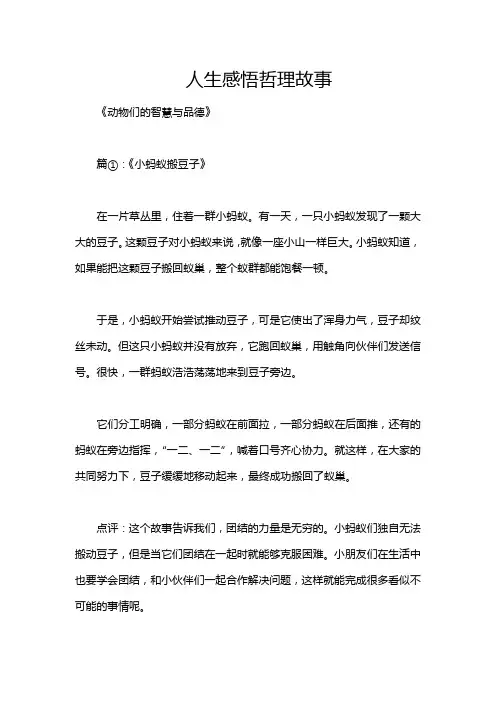 人生感悟哲理故事