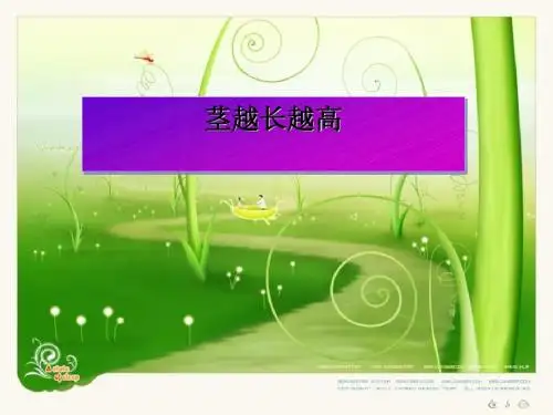 《茎越长越高》植物的生长变化PPT课件 (共27张PPT)