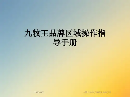 九牧王品牌区域操作指导手册