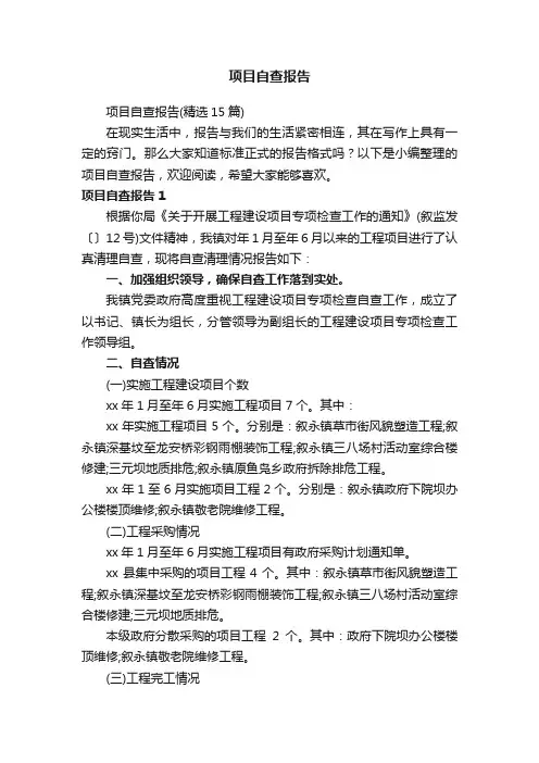 项目自查报告（精选15篇）