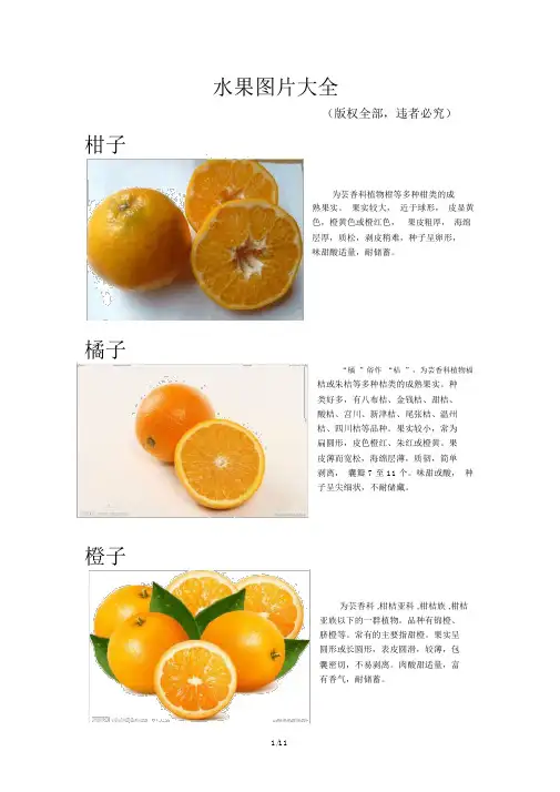 水果图片大全(经典版)