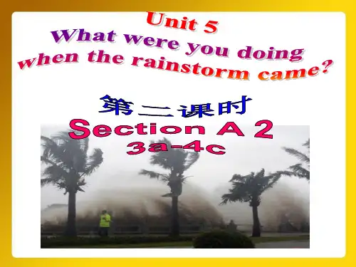八年级英语下册Unit 5 SectionA(3a-4c)课件 36张