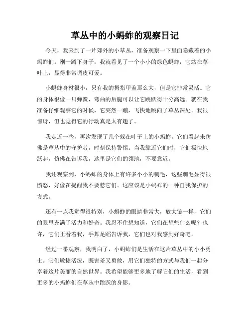 小学三年级作文草丛中的小蚂蚱的观察日记