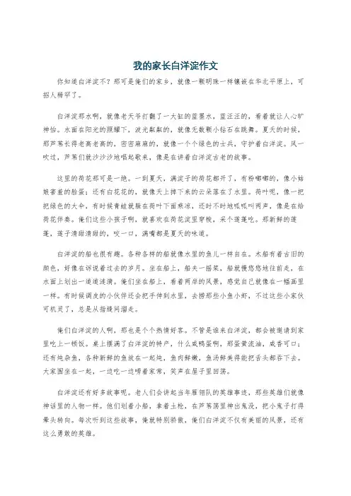 我的家长白洋淀作文