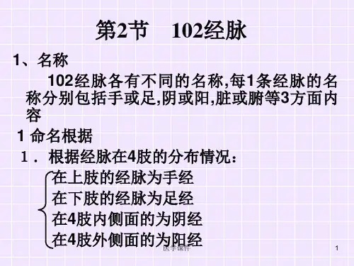 中医基础理论 经络 十二经脉 PT课件