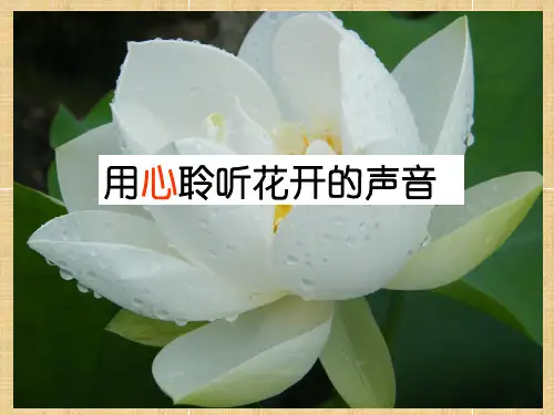 高中语文 用心聆听花开的声音名师课件