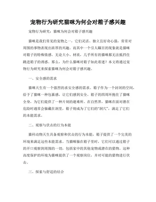 宠物行为研究猫咪为何会对箱子感兴趣