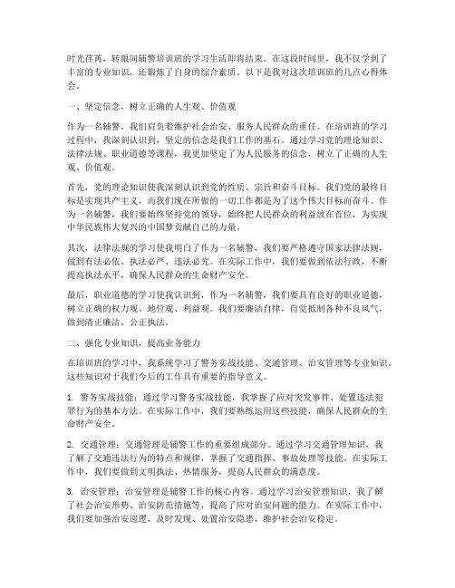 辅警培训班教学心得体会