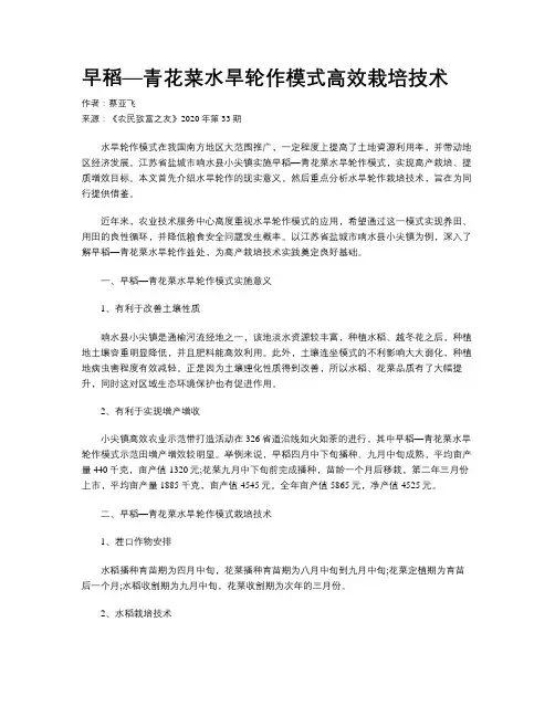 早稻—青花菜水旱轮作模式高效栽培技术