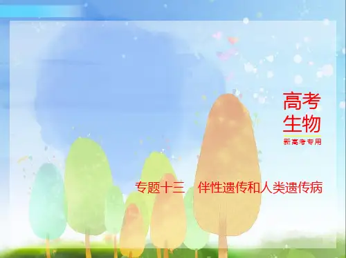 2024年新高考版生物1_13-专题十三 伴性遗传和人类遗传病 (2)