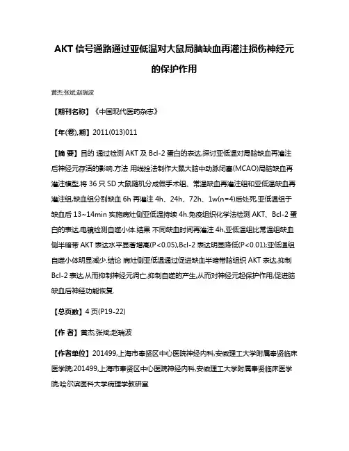 AKT信号通路通过亚低温对大鼠局脑缺血再灌注损伤神经元的保护作用