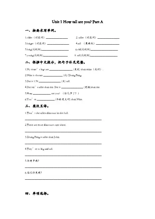 人教PEP版英语六年级下册各单元复习题及答案(全册)