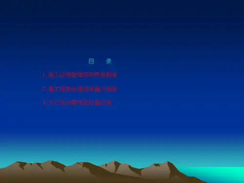 19年新[高效管理]安全生产管理制度