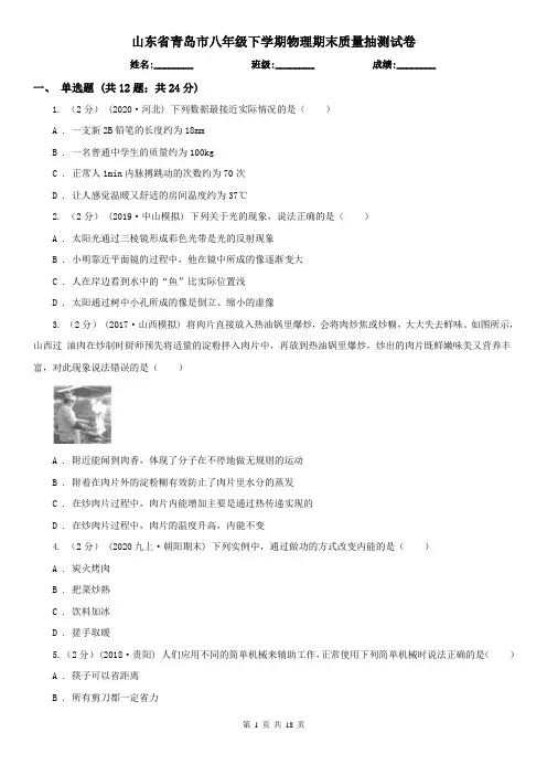 山东省青岛市八年级下学期物理期末质量抽测试卷