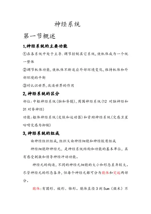 医学笔记人体解剖之神经系统