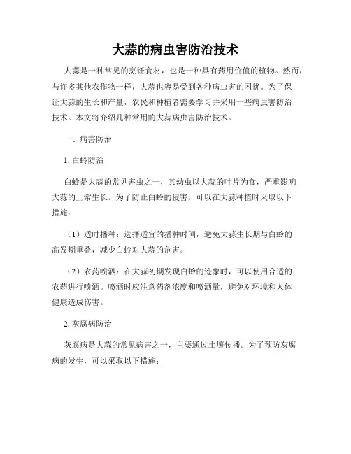 大蒜的病虫害防治技术