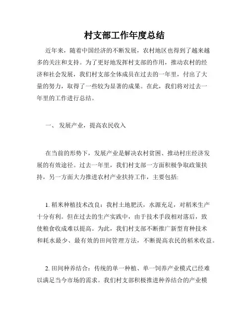 村支部工作年度总结
