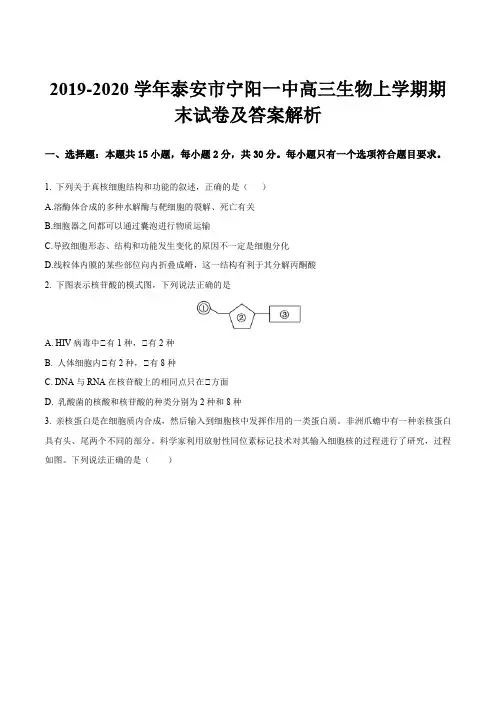 2019-2020学年泰安市宁阳一中高三生物上学期期末试卷及答案解析