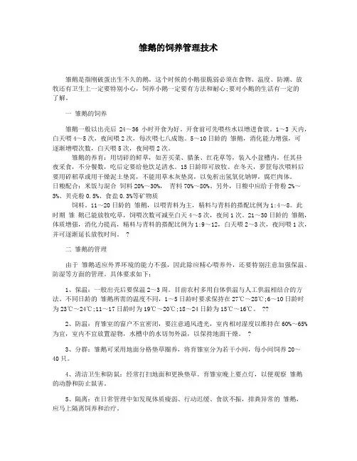 雏鹅的饲养管理技术