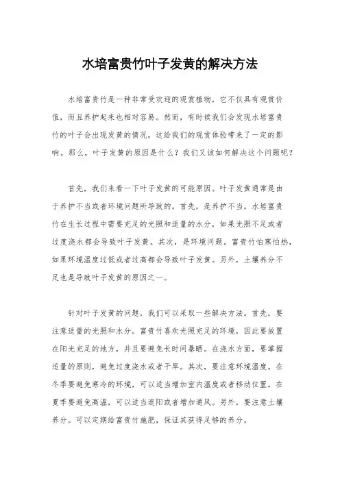 水培富贵竹叶子发黄的解决方法