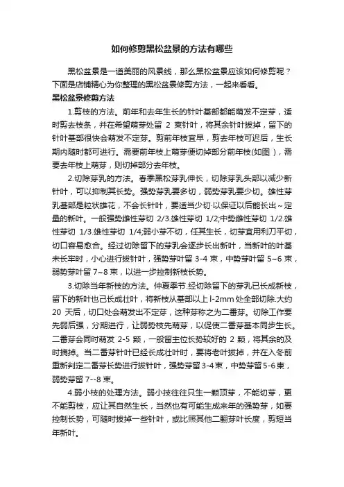 如何修剪黑松盆景的方法有哪些