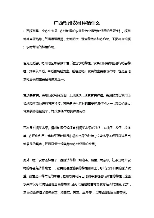 广西梧州农村种植什么