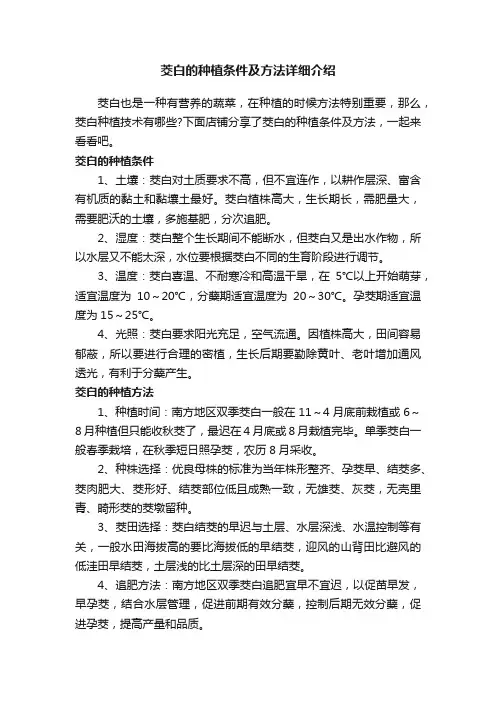 茭白的种植条件及方法详细介绍