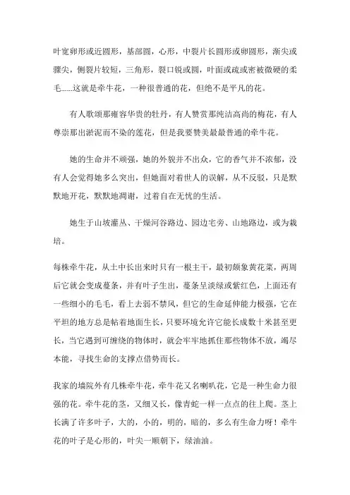 三年级下语文园地一习作范文牵牛花