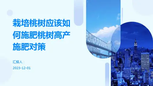 栽培桃树应该如何施肥桃树高产施肥对策