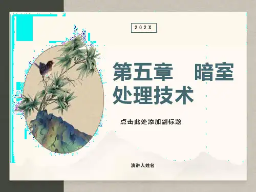 暗室处理技术