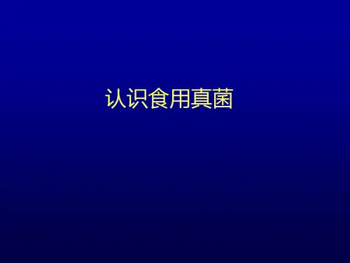 食用真菌PPT课件