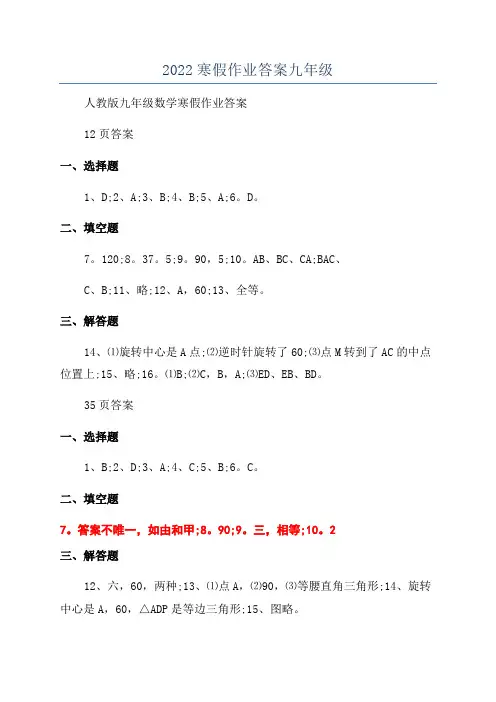 2022寒假作业答案九年级