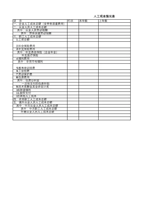 人工成本情况表